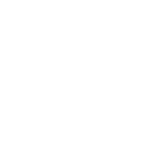 Zen Activo